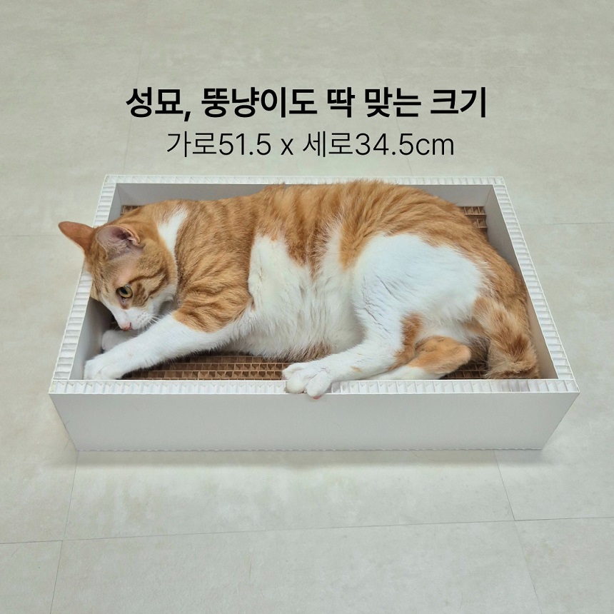 [NEW신상][무료배송] 캣츠크라프트 고강도 소파 스크래쳐 박스 4번째