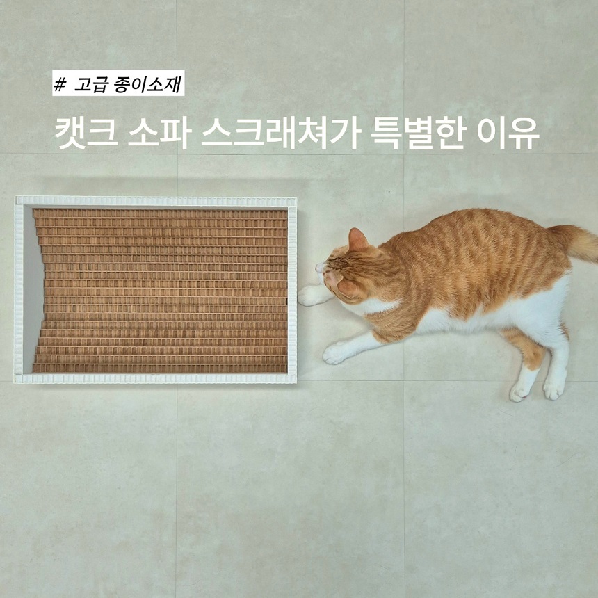 [NEW신상][무료배송] 캣츠크라프트 고강도 소파 스크래쳐 박스 8번째