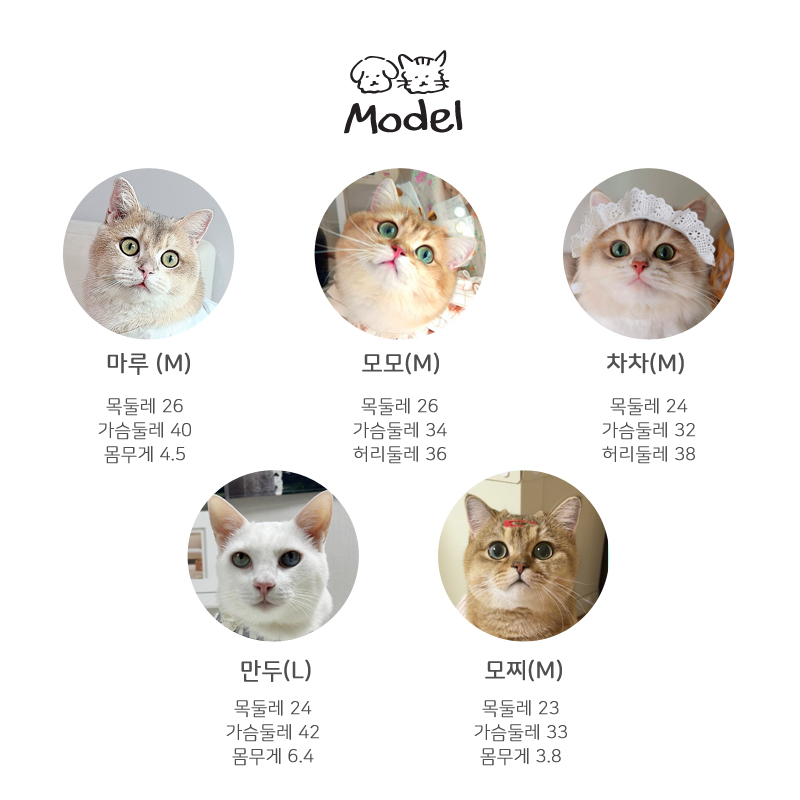 [무료배송] 개달당 미니냥 레드 리본 모자 XS-XL 6번째