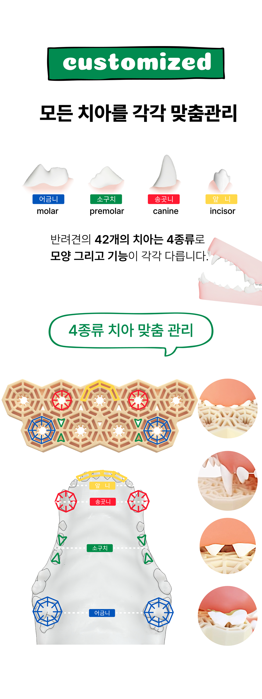 [체험단] [무료배송] 네이처트레이스 독 스파이더웹 덴탈바 다이제스티브 12개입 20번째