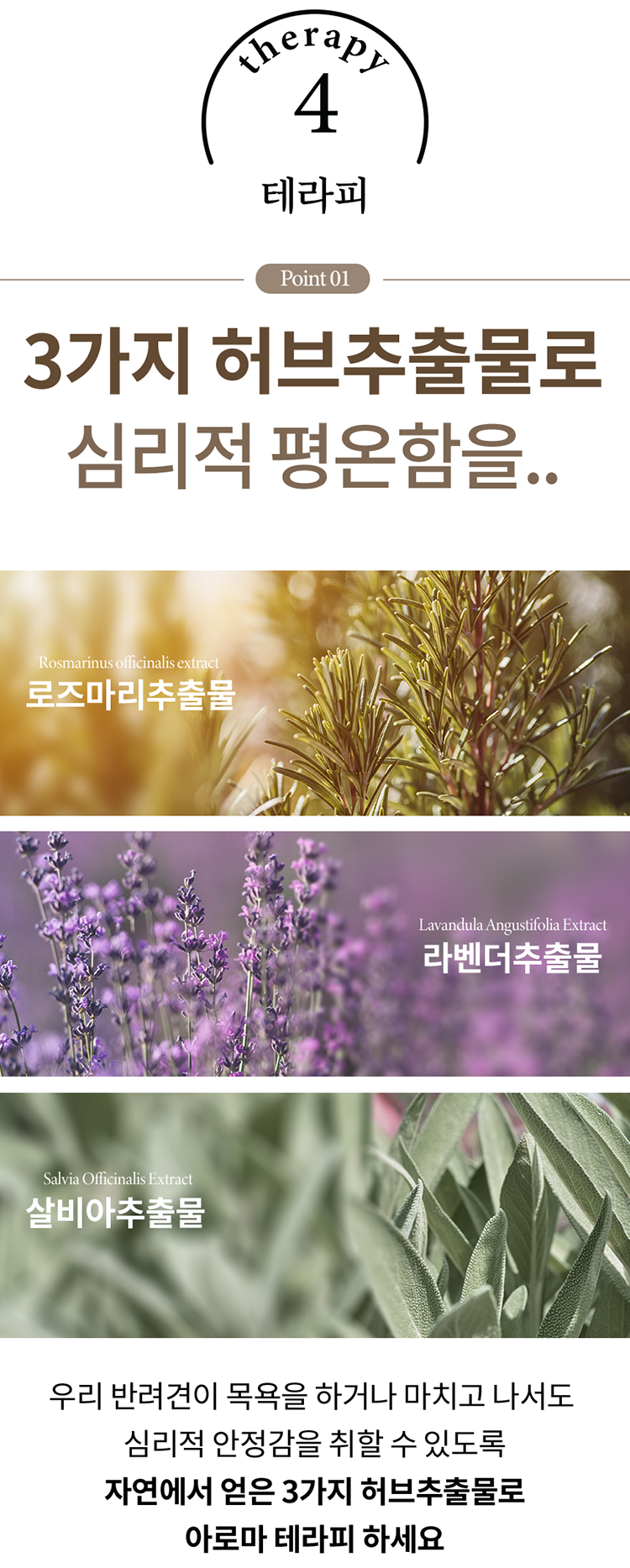 디고 펫 에스테틱 샴푸 300ml 8번째