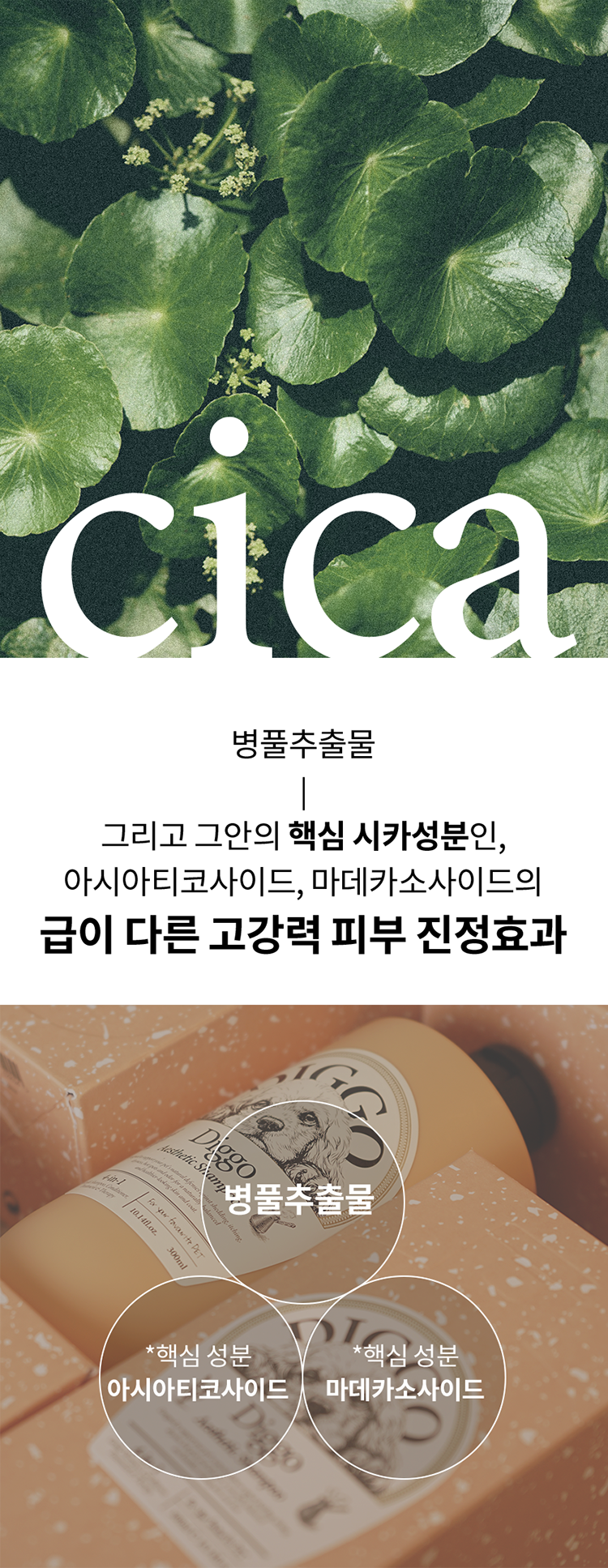디고 펫 에스테틱 샴푸 300ml 19번째