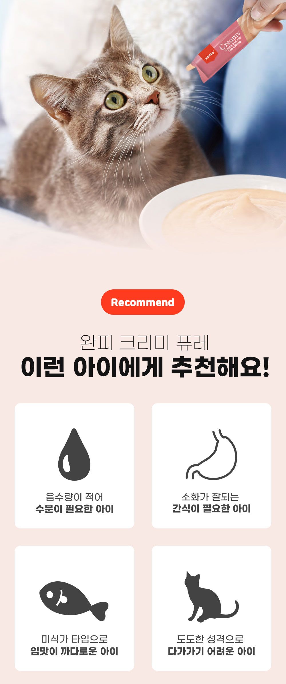 [창고대방출]완피 캣 크리미 퓨레 참치&가리비 14g*5p 13번째