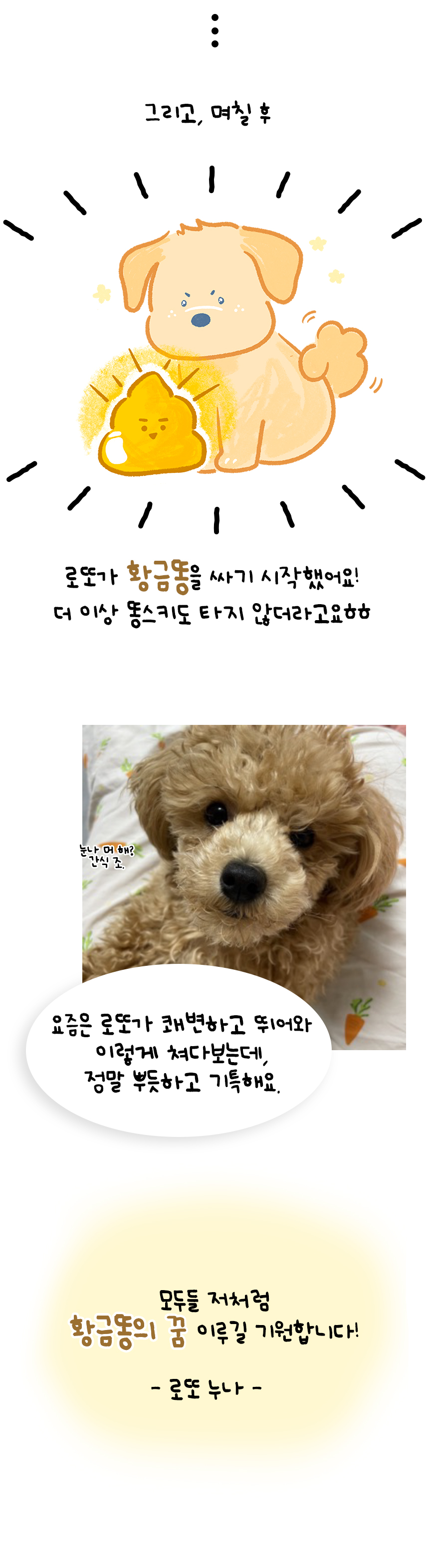 [NEW신상][무료배송] 수플담 프로바이오틱스 큐브 2.0 유산균 30g 5번째