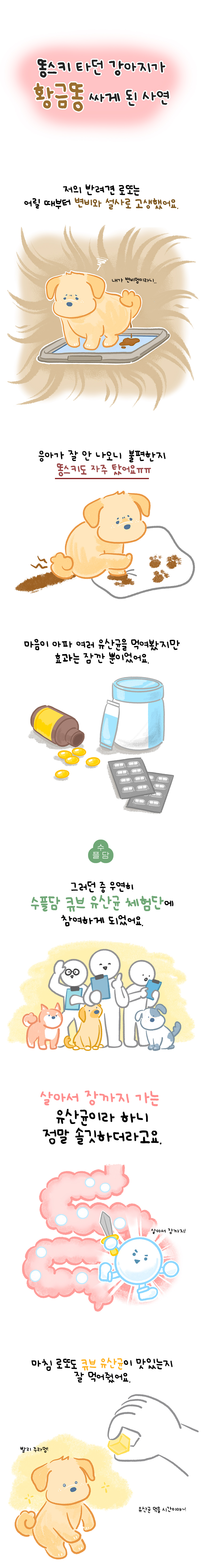 [NEW신상][무료배송] 수플담 프로바이오틱스 큐브 2.0 유산균 30g 4번째