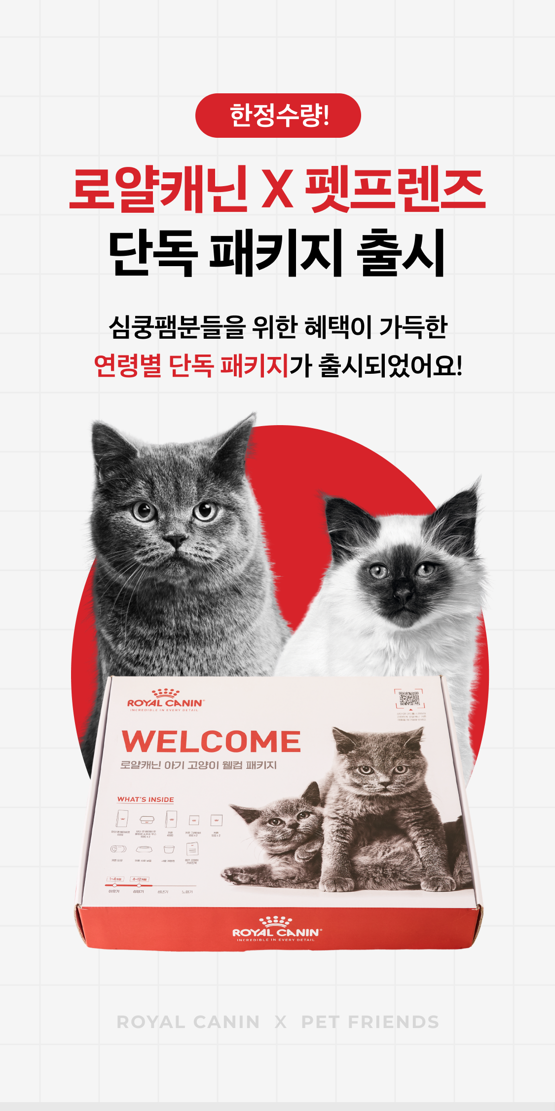 [NEW신상]펫프렌즈x로얄캐닌 키튼 단독 패키지  0번째