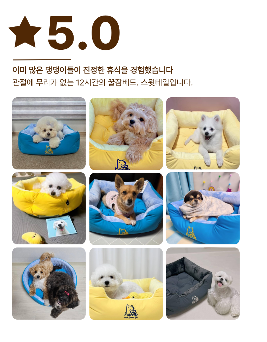 [NEW신상][무료배송] 스윗테일 핸드메이드 펫하우스 팔각방석 M/L 19번째