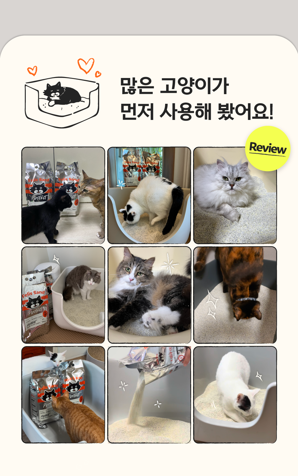 [특가할인]닥터펠리스 펠리스샌드 프로텍트 카사벤토 4.3kg  6번째