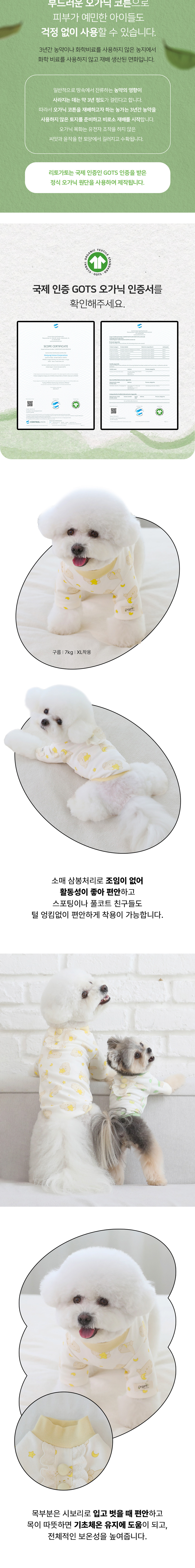 [무료배송] 리토가토 오가닉 크림 베어 티셔츠 옐로우/그린 S-2XL 2번째