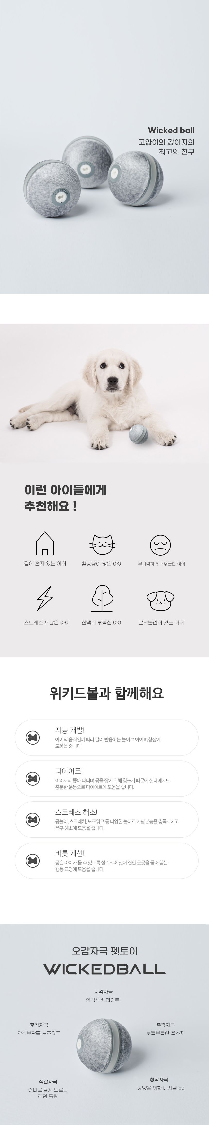 [무료배송] 쥬아펫 자동장난감 위키드볼 그레이 1번째