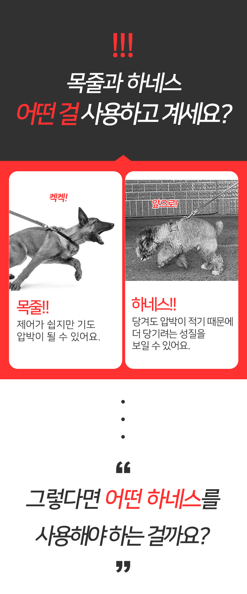 [무료배송] 멍템 앞섬방지 하네스 핸즈프리 리드줄 3m 세트 XXS-XL 7번째