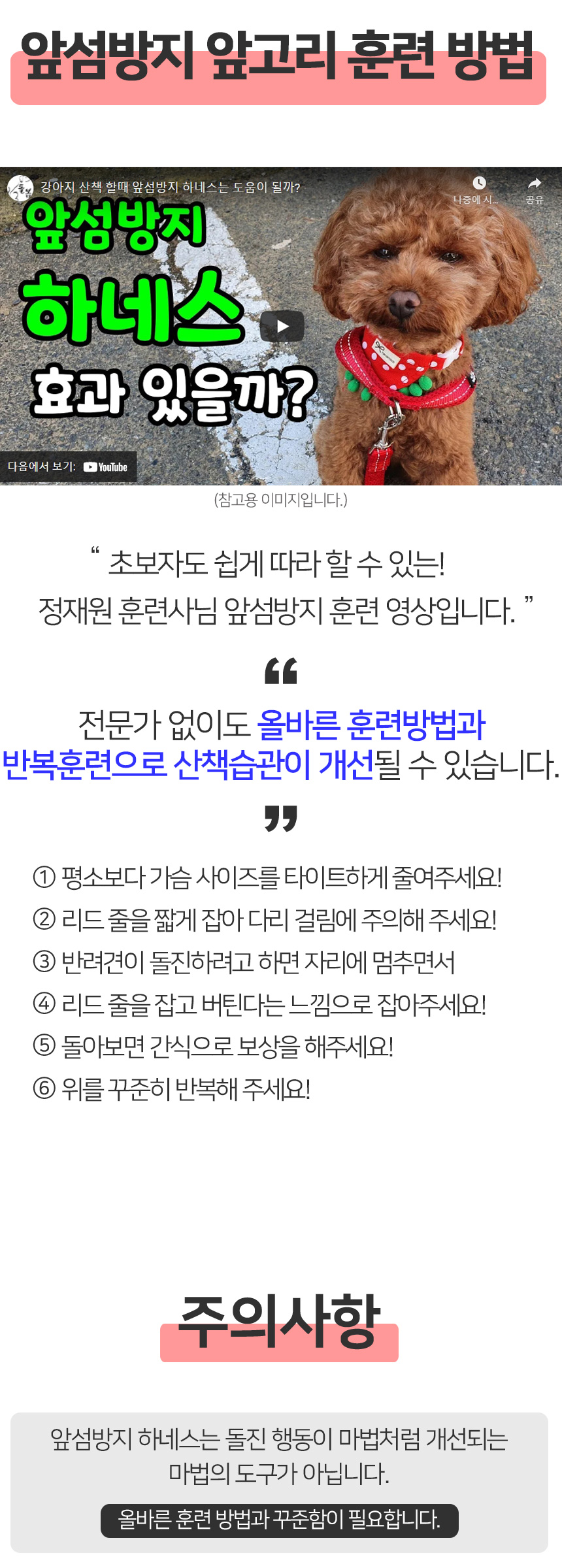 [무료배송] 멍템 앞섬방지 하네스 핸즈프리 리드줄 3m 세트 XXS-XL 29번째