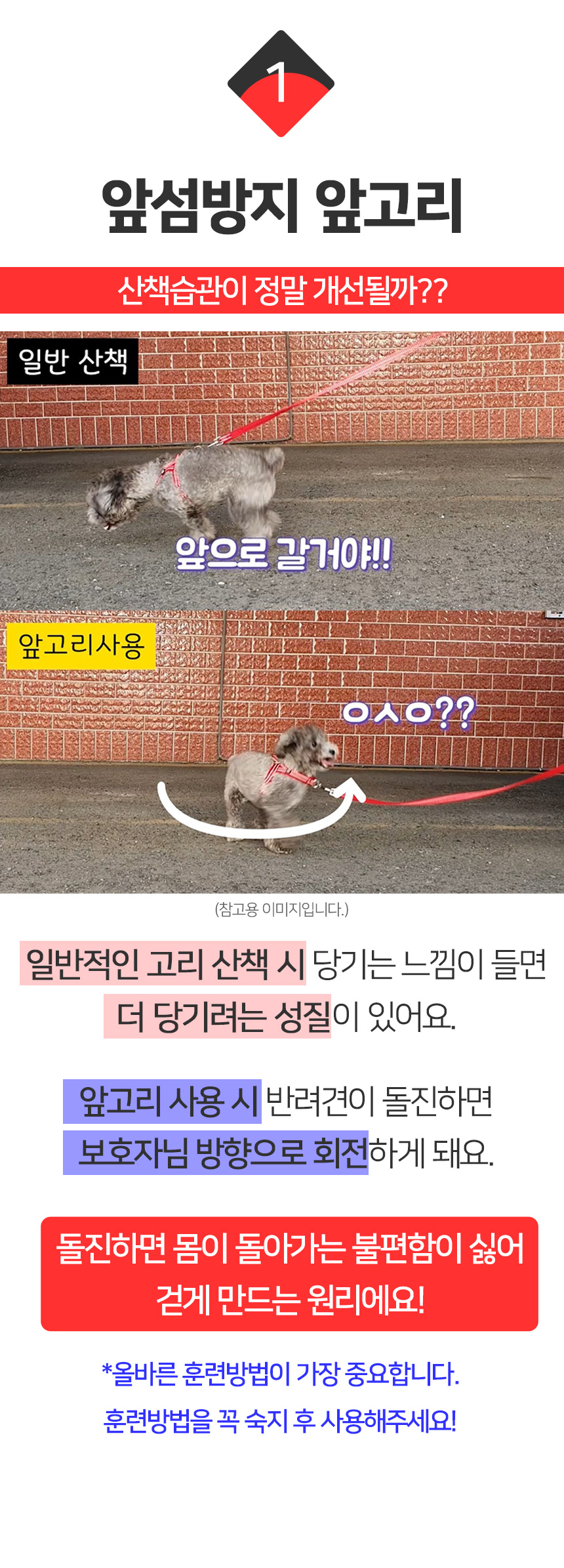 [무료배송] 멍템 앞섬방지 하네스 핸즈프리 리드줄 3m 세트 XXS-XL 10번째