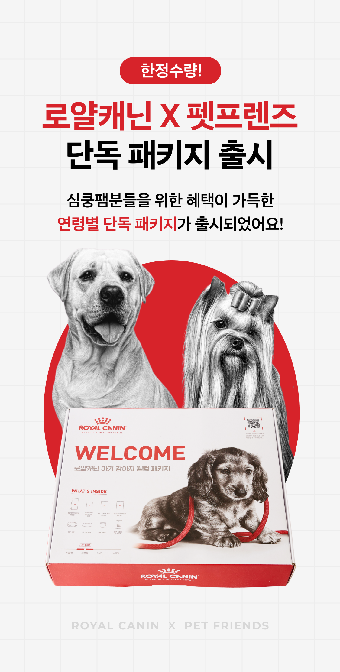 펫프렌즈x로얄캐닌 퍼피 단독 패키지 1번째