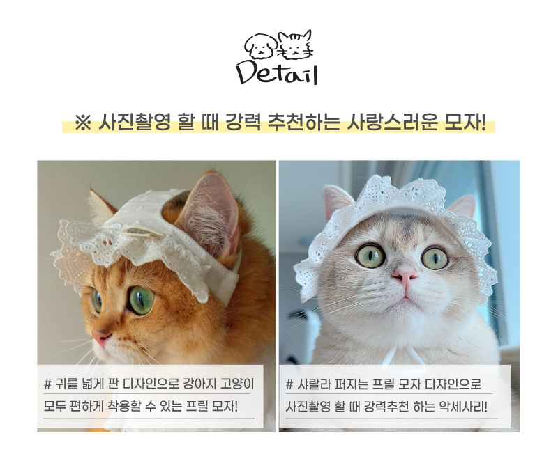 [무료배송] 개달당 요거트 레이스 프릴 강아지 고양이 모자 XS-XL 3번째