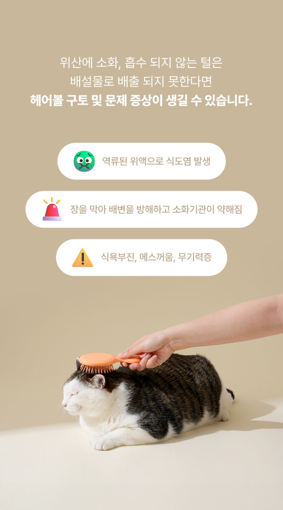 조공 이지 케어 헤어볼 8g*10ea 17번째