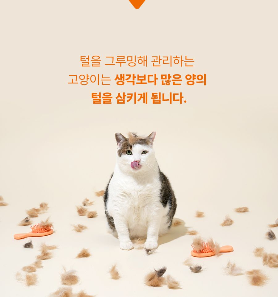조공 이지 케어 헤어볼 8g*10ea 16번째