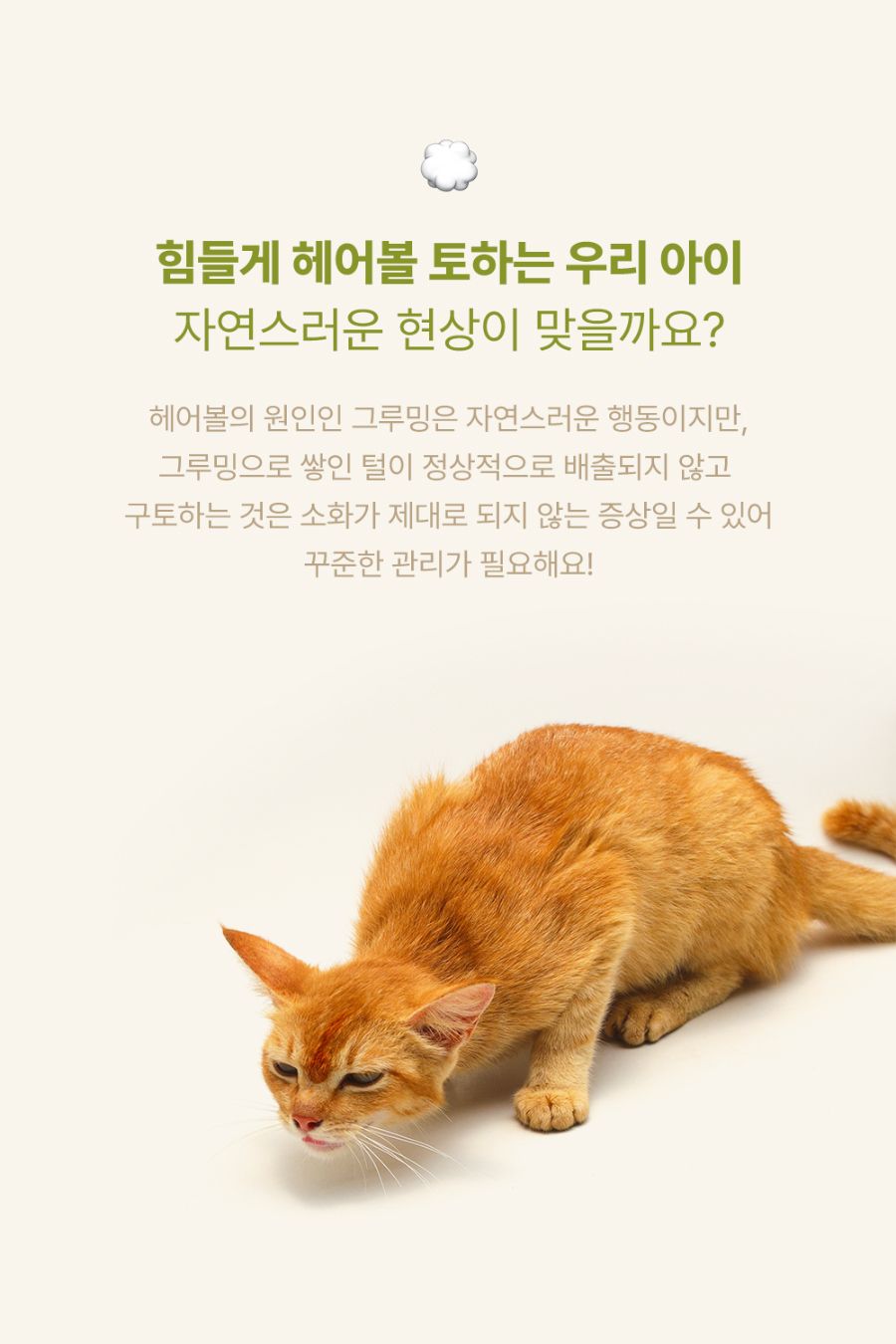 조공 이지 케어 헤어볼 8g*10ea 4번째