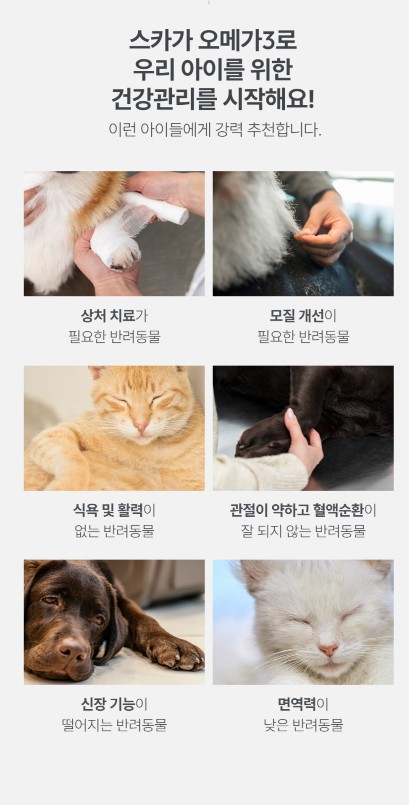 [무료배송] 스카가(Skaga) 오메가3 오일 250ml 2번째
