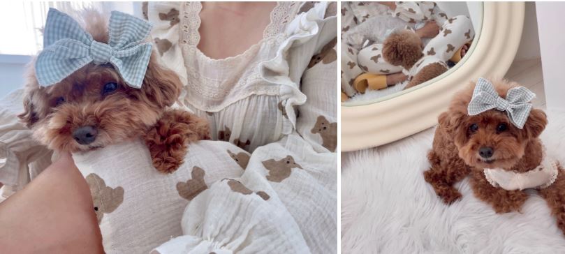 [무료배송] 찰리롤리 카카 곰 강아지 잠옷 레이스 S-2XL 5번째
