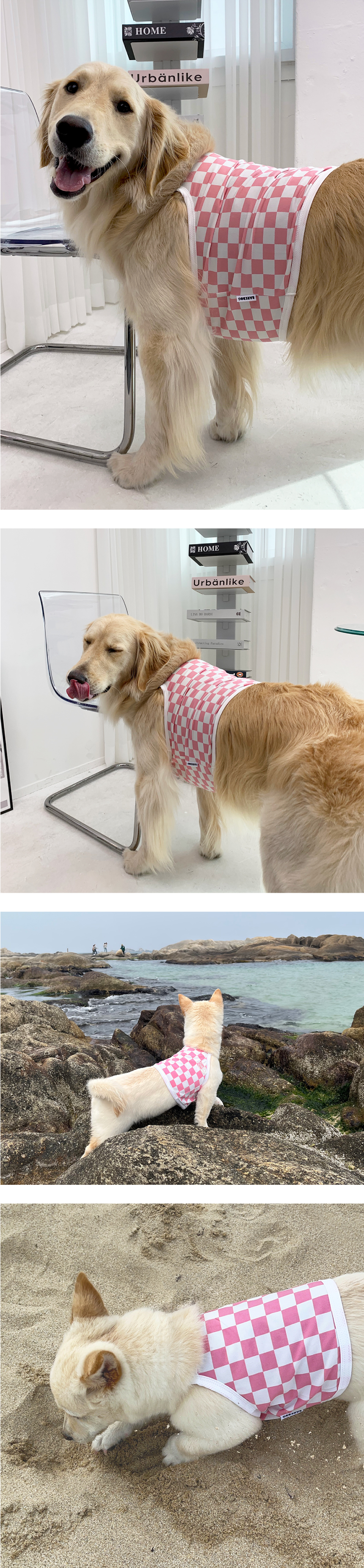 [무료배송] 바크독 체크 쿨 크롭티 3color M-6XL 5번째