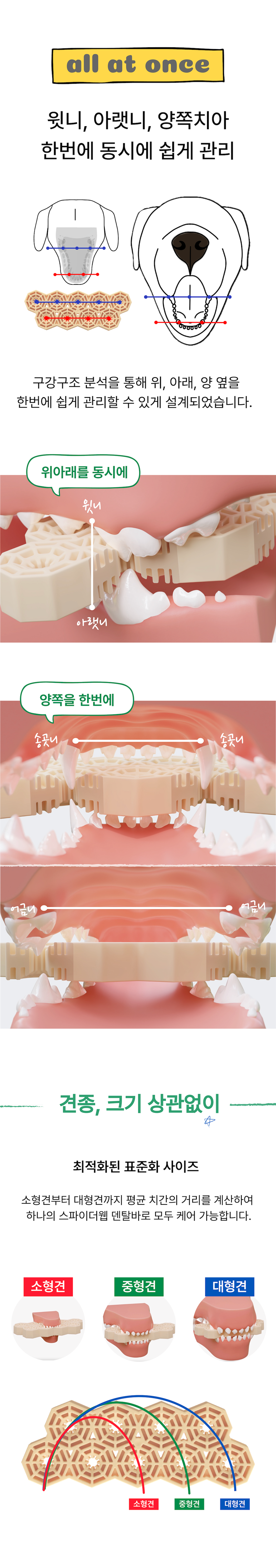 [신상특가] [무료배송] 네이처트레이스 독 스파이더웹 덴탈바 하이포알러제닉 12개입 15번째