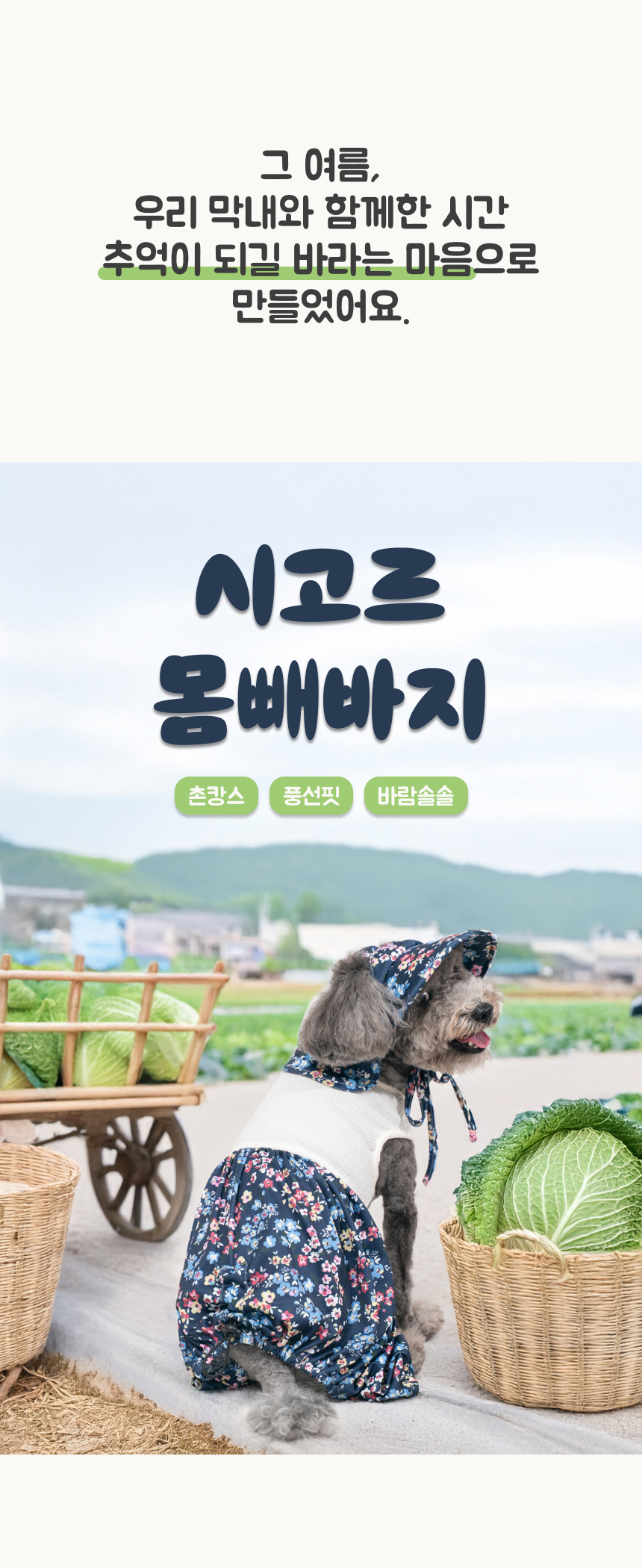 [NEW신상][무료배송] 큰강아지 시고르 몸빼바지 올인원 할머니옷 (M-6XL) 1번째