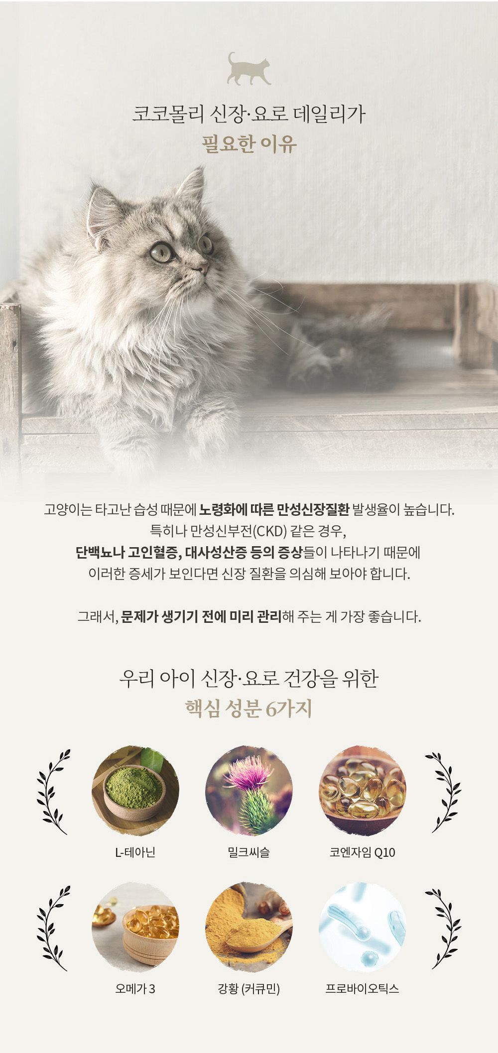 코코몰리 캣 신장 요로 데일리 닭고기&명태 10g*15p 4번째
