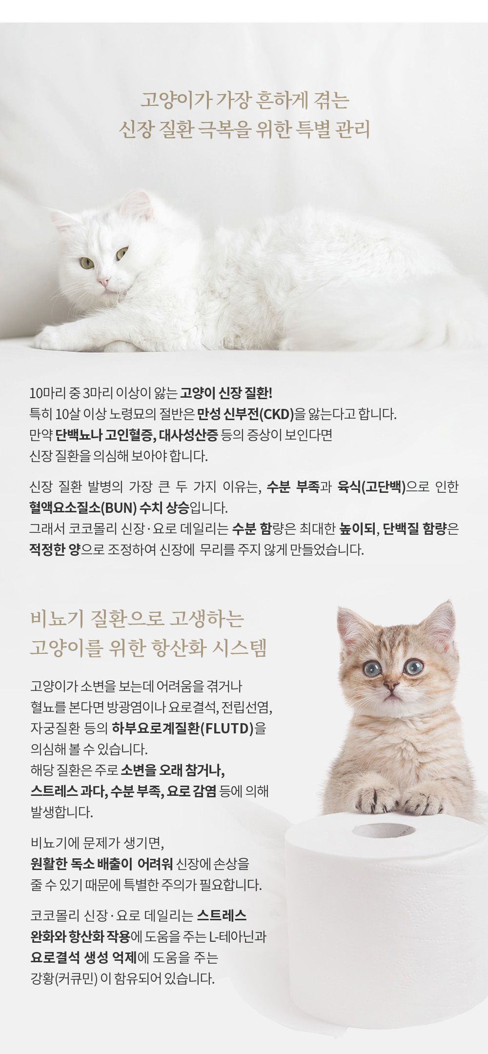 코코몰리 캣 신장 요로 데일리 닭고기&명태 10g*15p 7번째