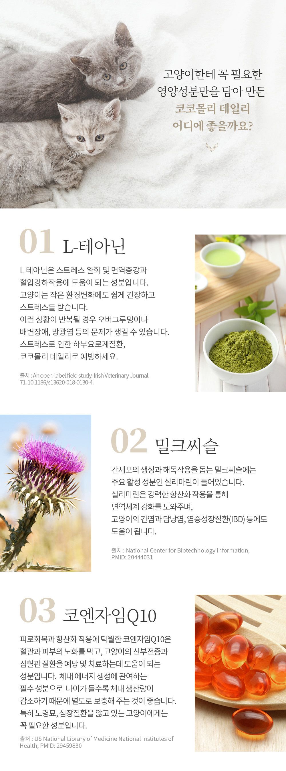 코코몰리 캣 신장 요로 데일리 닭고기&명태 10g*15p 5번째
