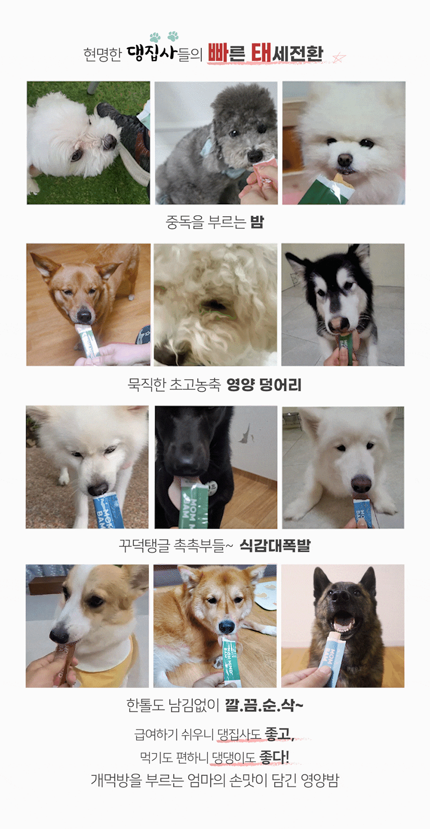 [NEW신상][무료배송] 맘맘영양밤 연어+가바 (눈건강) 토탈케어 15p 2번째