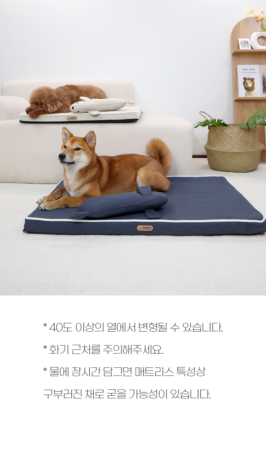 [NEW신상][무료배송] 개과천선 디멕스 방석 (오트 베이지/다크 블루) 18번째