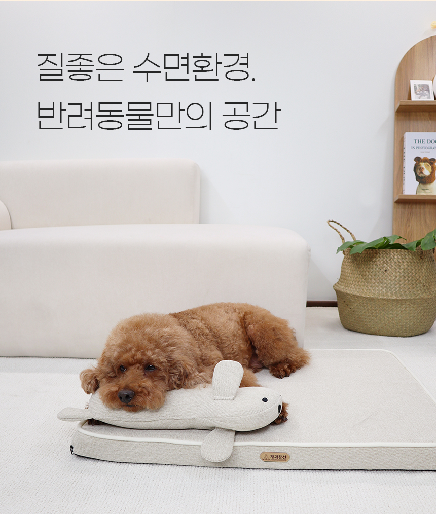 [NEW신상][무료배송] 개과천선 디멕스 방석 (오트 베이지/다크 블루) 8번째