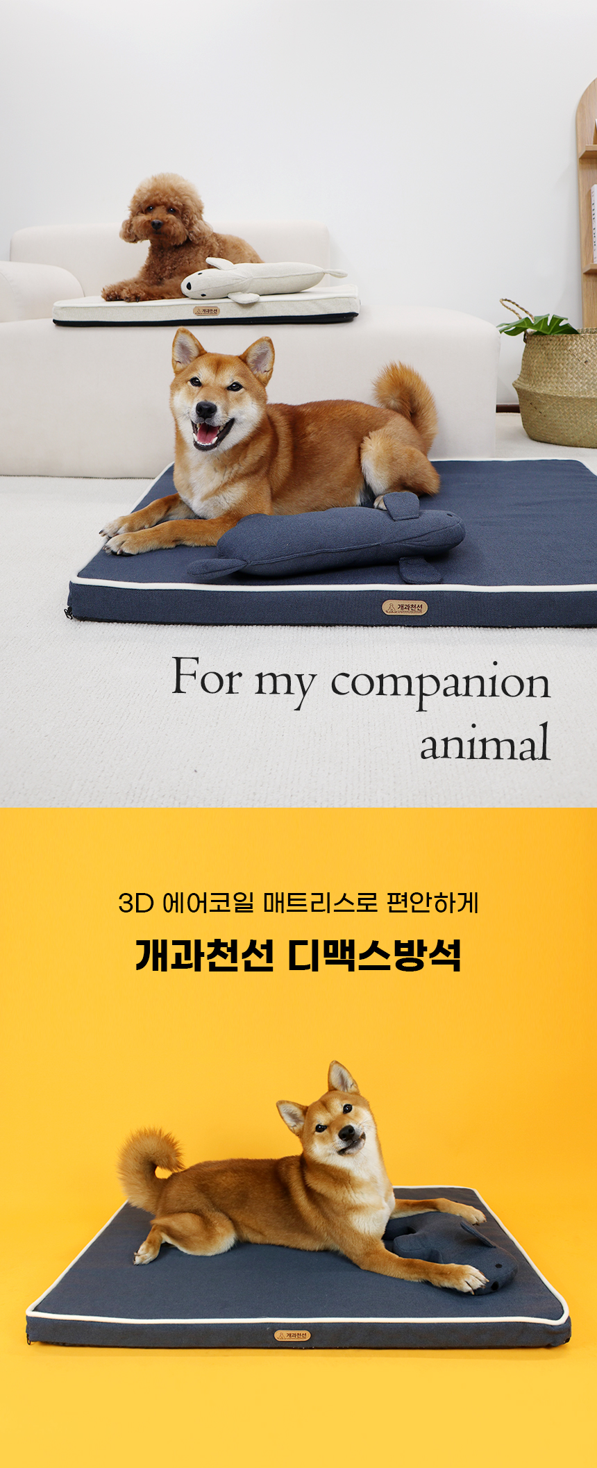 [NEW신상][무료배송] 개과천선 디멕스 방석 (오트 베이지/다크 블루) 1번째
