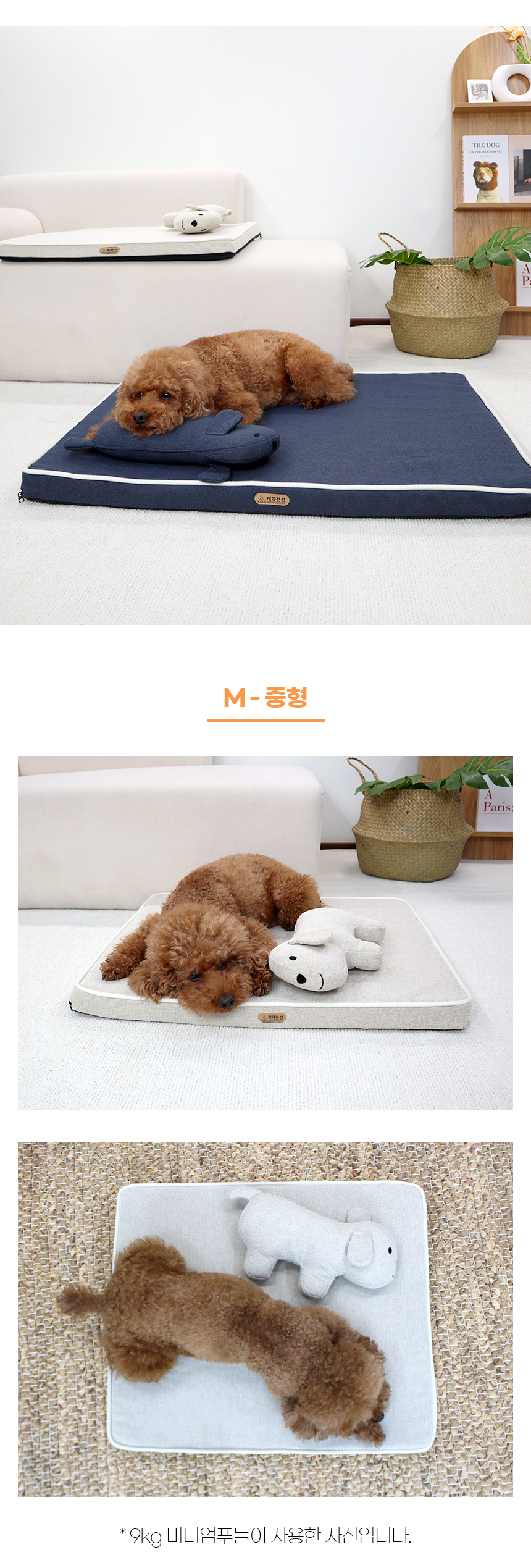 [NEW신상][무료배송] 개과천선 디멕스 방석 (오트 베이지/다크 블루) 26번째