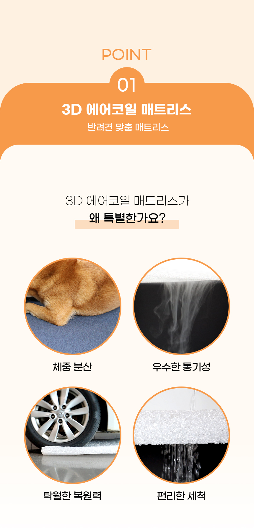 [NEW신상][무료배송] 개과천선 디멕스 방석 (오트 베이지/다크 블루) 11번째