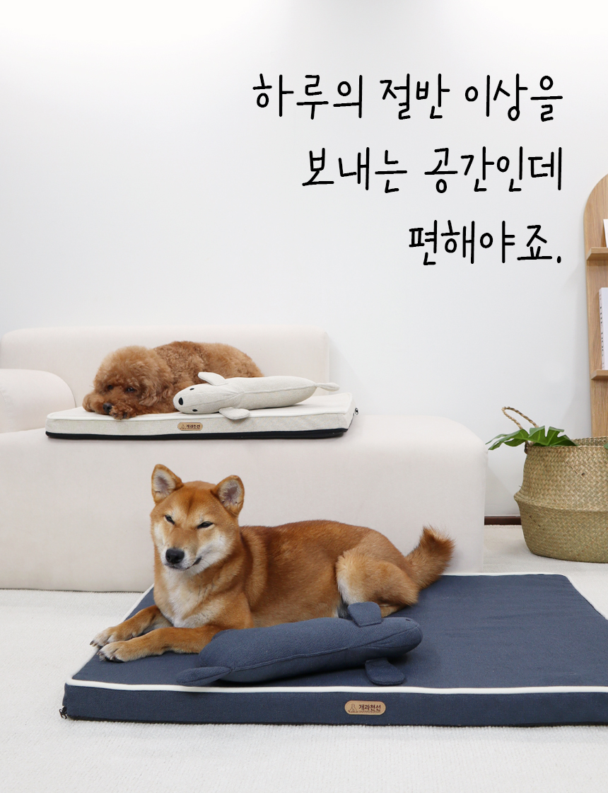 [NEW신상][무료배송] 개과천선 디멕스 방석 (오트 베이지/다크 블루) 4번째