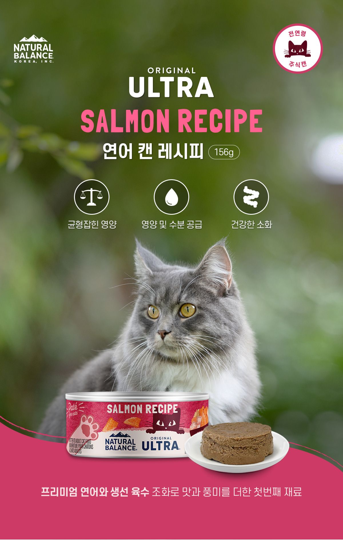 내추럴발란스 캣 연어 레시피 주식 캔 156g 3번째