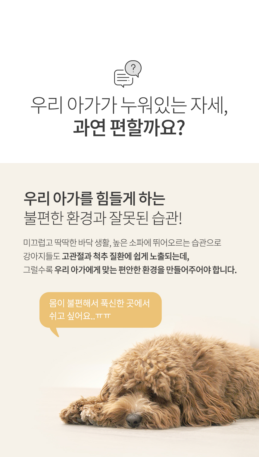 [NEW신상][무료배송] 파미야 강아지 3D 방수 방석 12번째