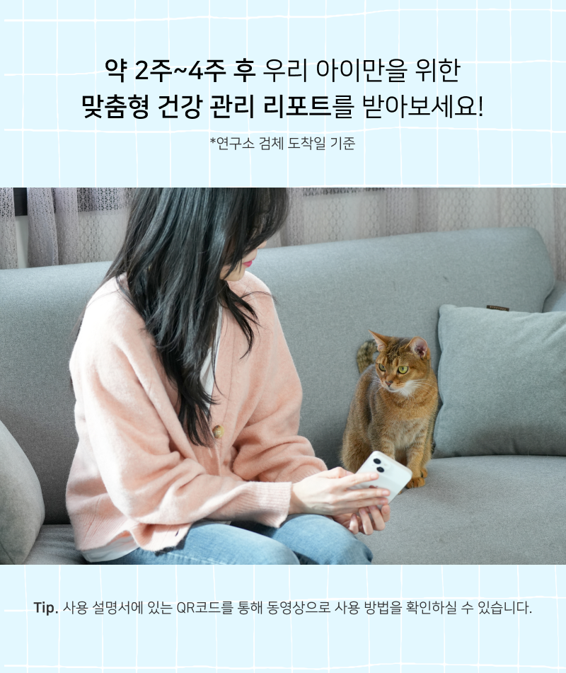[무료배송] 피터페터 캣터링 유전병 위험 체크 키트 15번째