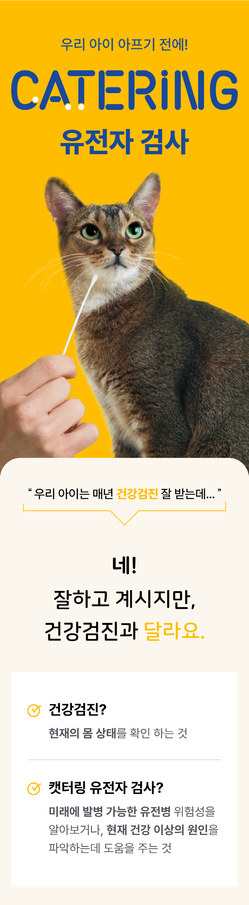 [무료배송] 피터페터 캣터링 유전병 위험 체크 키트 1번째