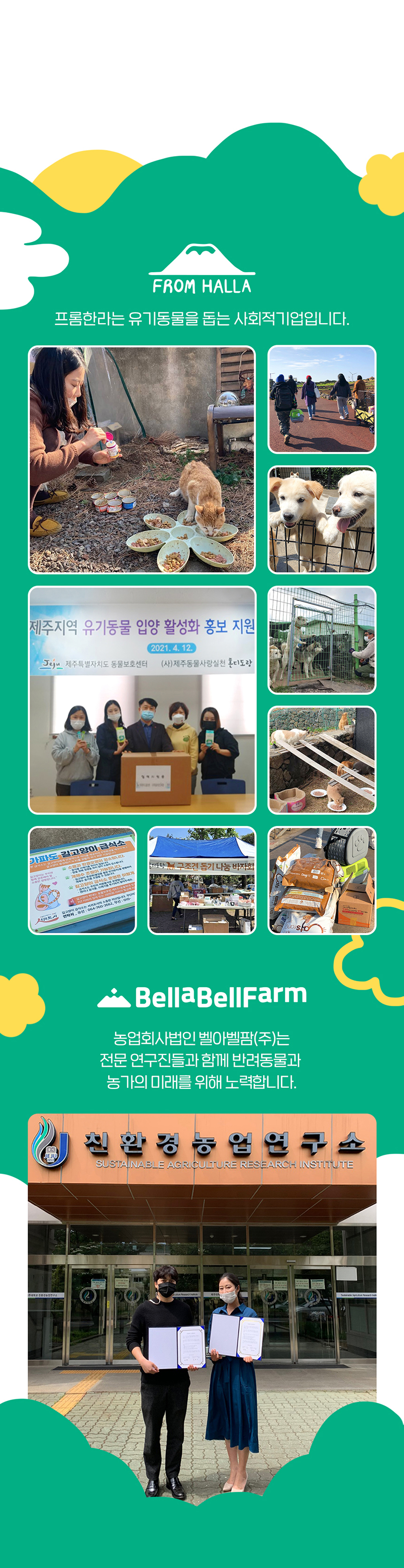 [무료배송] 프롬한라 초극세사 순면 펫타월 6번째