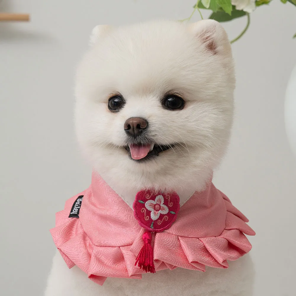 [무료배송] 베일리펫 강아지 설날 항균 소담 한복 케이프 진달래/벚꽃/개나리 S-3XL