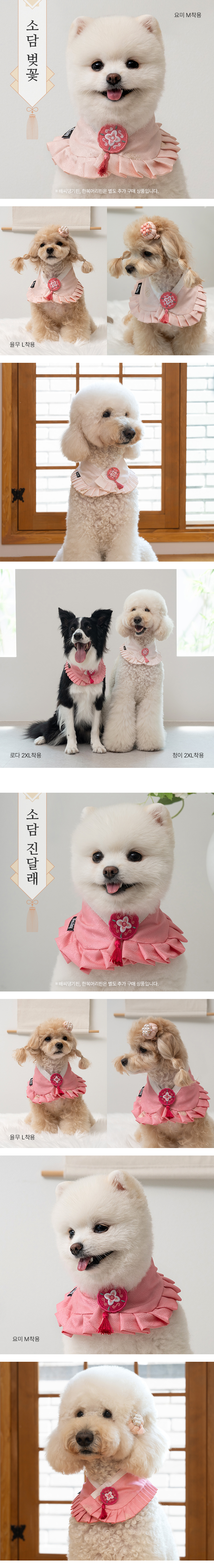 [무료배송] 베일리펫 강아지 설날 항균 소담 한복 케이프 진달래/벚꽃/개나리 S-3XL 3번째