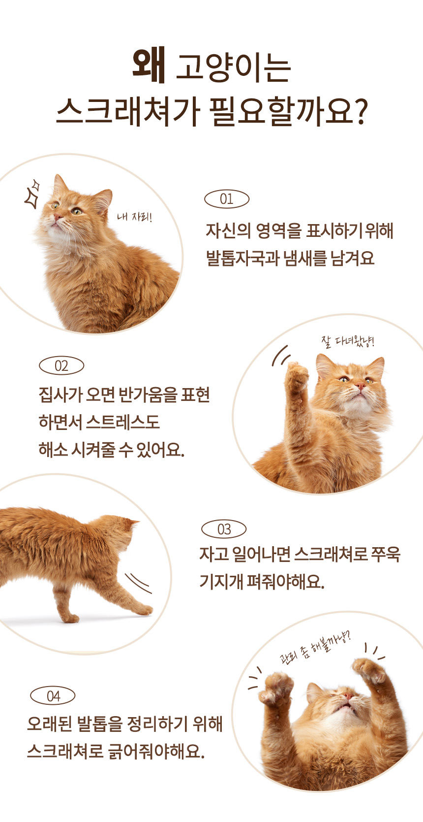 [무료배송] 펫토리아 GP 대형 카펫 고양이 수직 스크래쳐 3번째