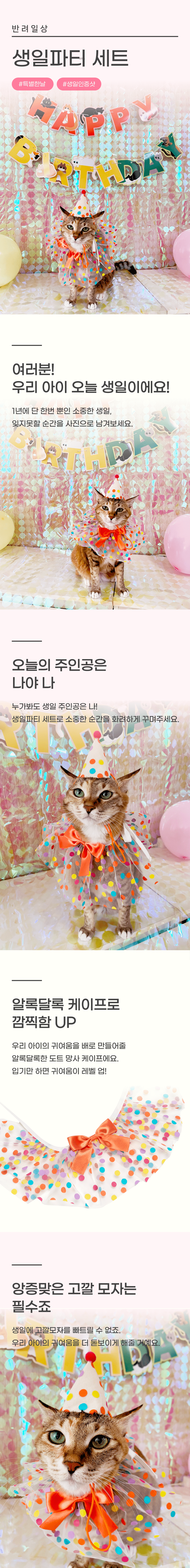 반려일상 생일파티세트 1번째