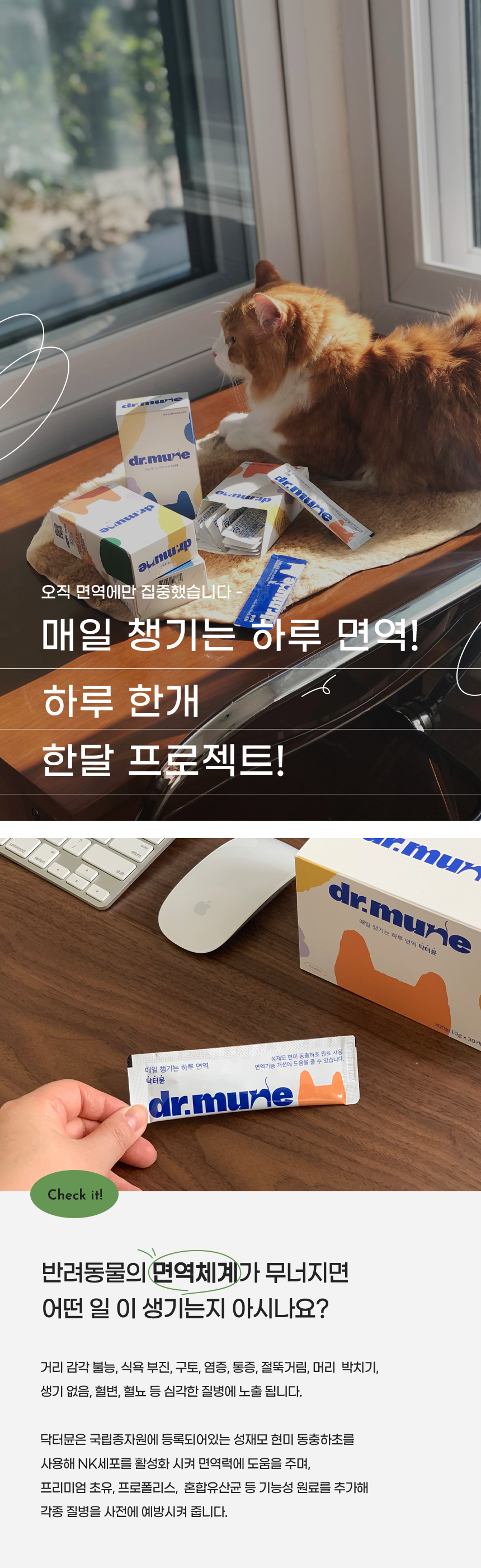 닥터뮨 캣 젤리스틱 연어 10g*10p 1번째