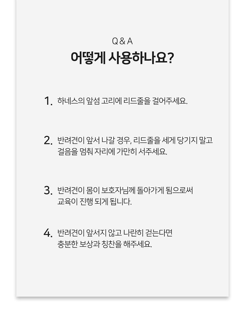 [무료배송] 니즈더펫 인터라켄 티라인 하네스 XXS-XL 23번째