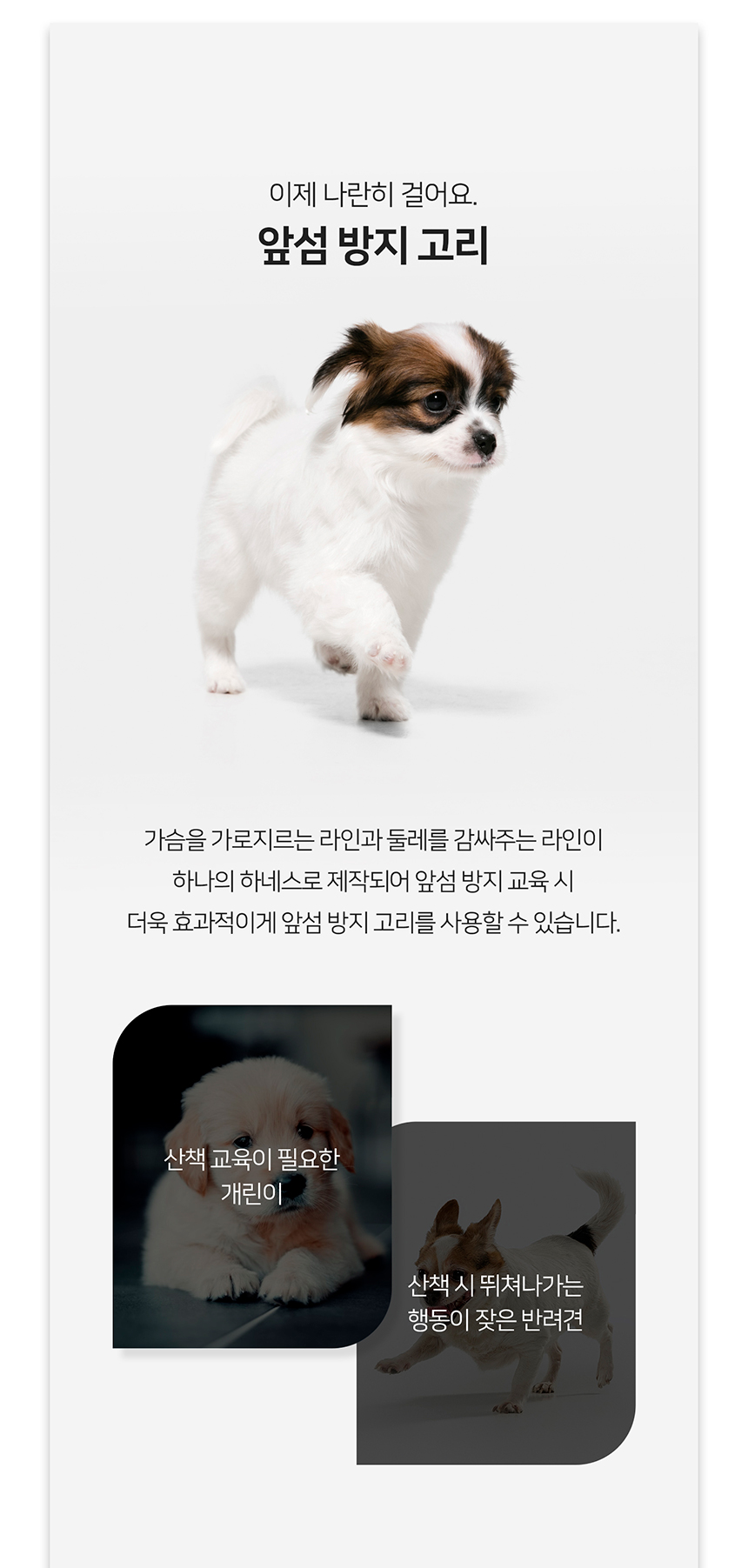 [무료배송] 니즈더펫 인터라켄 티라인 하네스 XXS-XL 20번째