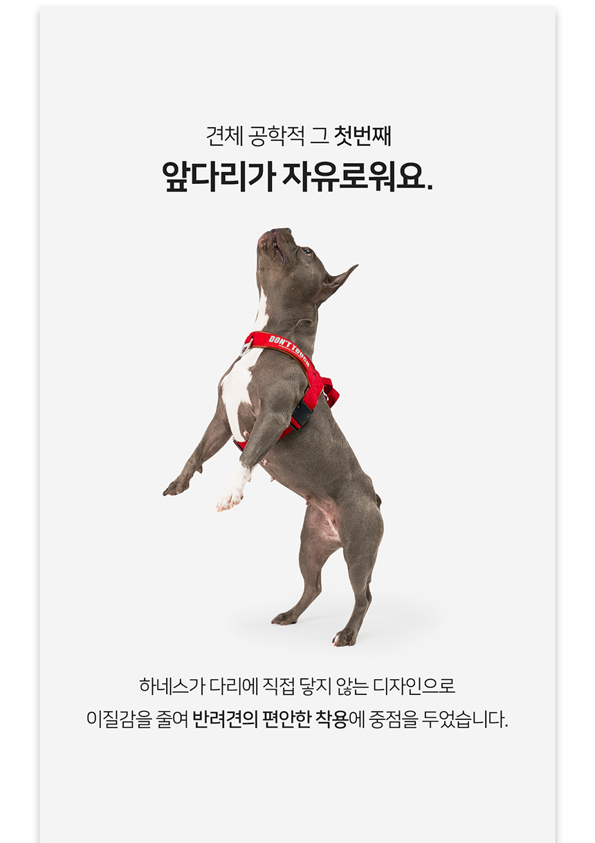 [무료배송] 니즈더펫 인터라켄 티라인 하네스 XXS-XL 10번째